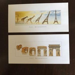 Amazing cards. Metamorphosis of lion and giraffe